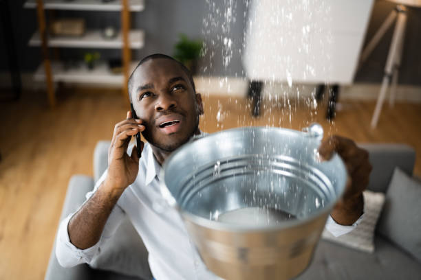 Best Mold removal after water damage  in Park Forest, IL