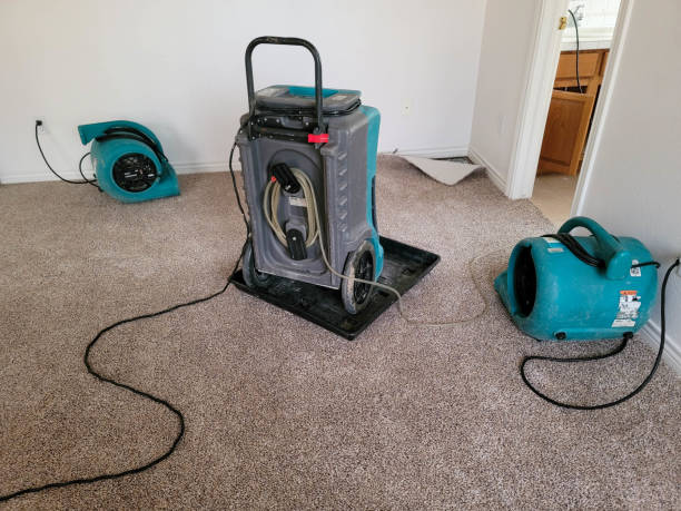 Best Carpet water damage restoration  in Park Forest, IL