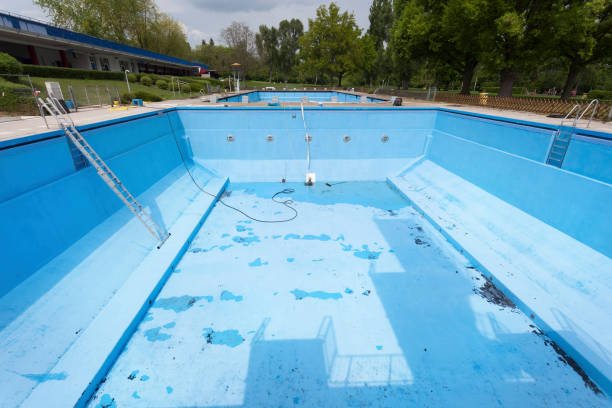 Best Carpet water damage restoration  in Park Forest, IL