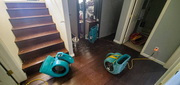 Reliable Park Forest, IL Water damage restoration Solutions