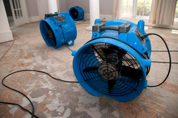 Best Local water damage restoration  in Park Forest, IL