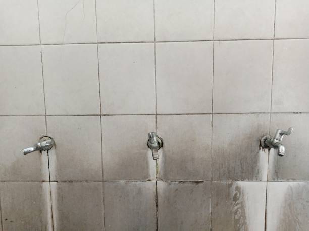 Best Water damage restoration near me  in Park Forest, IL
