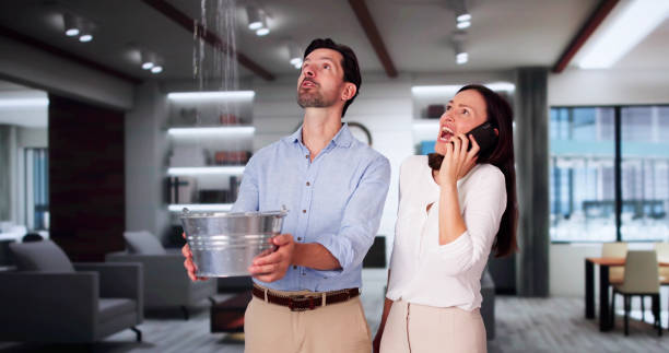 Best Ceiling water damage repair  in Park Forest, IL
