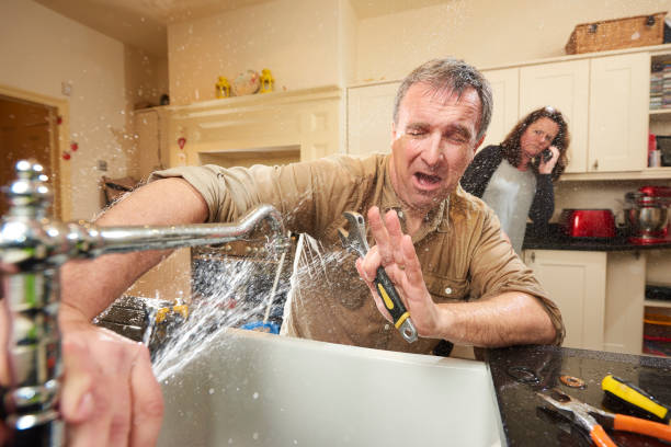 Best Flood restoration services  in Park Forest, IL